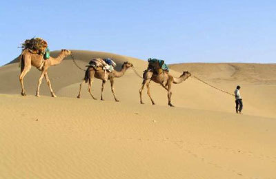 Rajasthan Tour Package-My Tour To India